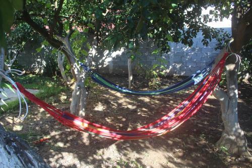 Hostal Greenview Guesthouse