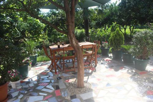 Hostal Greenview Guesthouse
