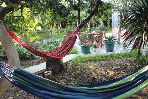 Hostal Greenview Guesthouse