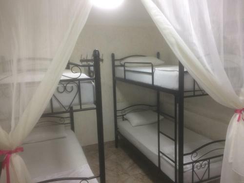 Hostel Mini