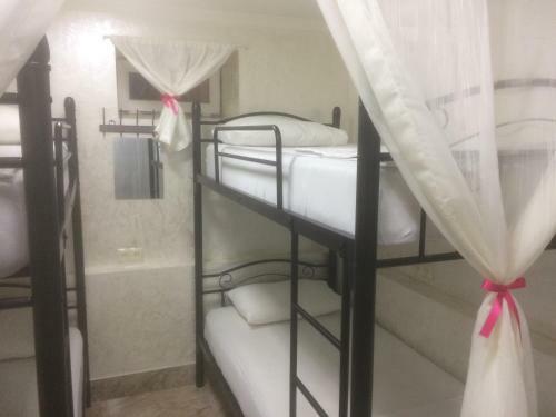 Hostel Mini