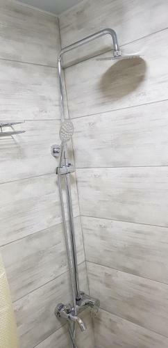 Apartament Shushana