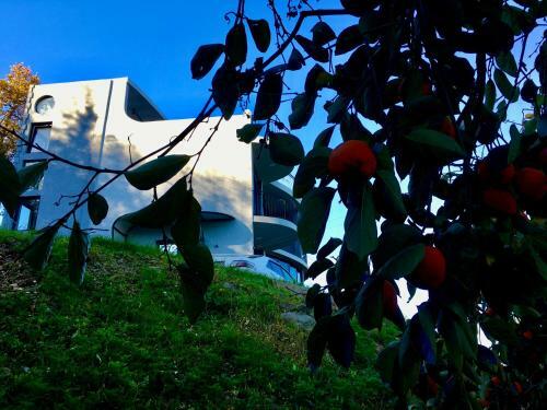 Dream Panorama Villa Batumi