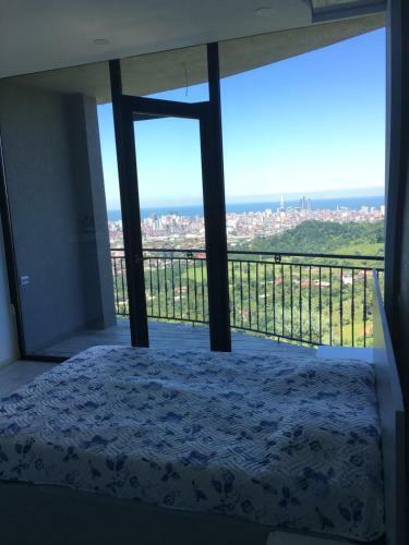 Dream Panorama Villa Batumi