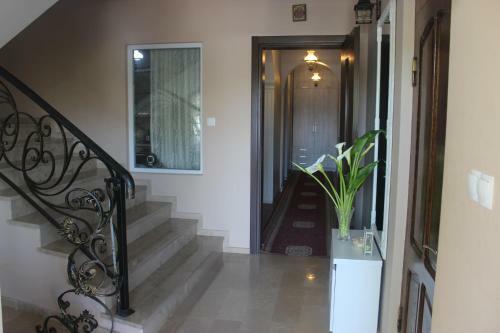 Luxury Guesthouse
