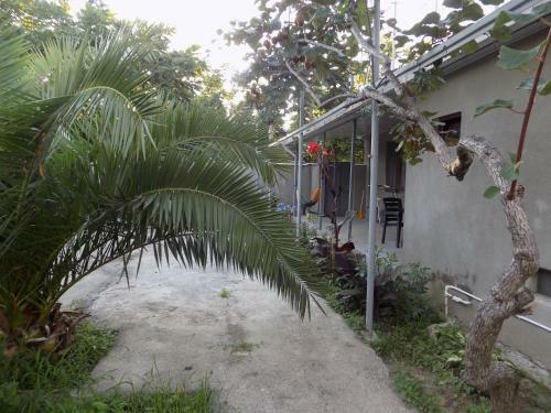 Agrogarden Batumi
