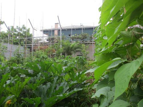 Agrogarden Batumi