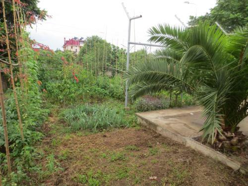 Agrogarden Batumi