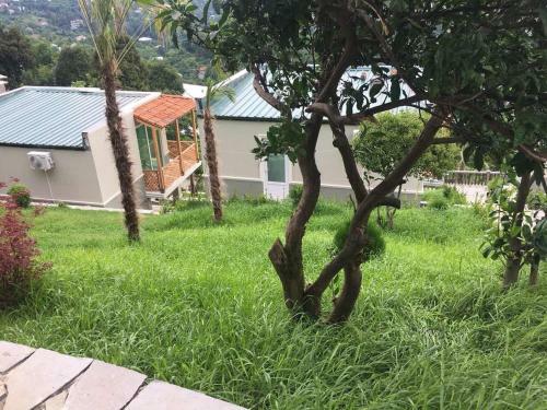 Hostal Green Hills Batumi