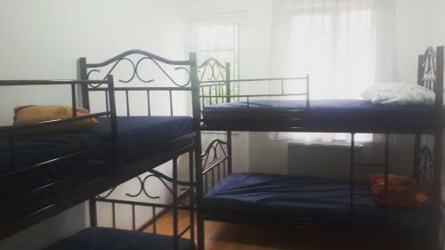 Enjoy The Hostel