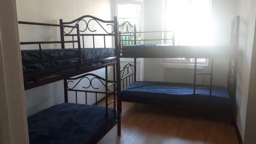 Enjoy The Hostel