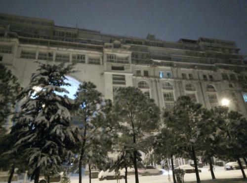 Apartamento Magnolia 1005