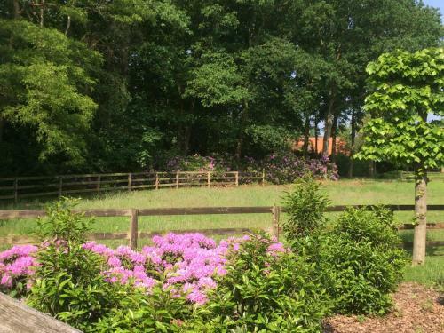 Bed & Breakfast Hof Van Eersel