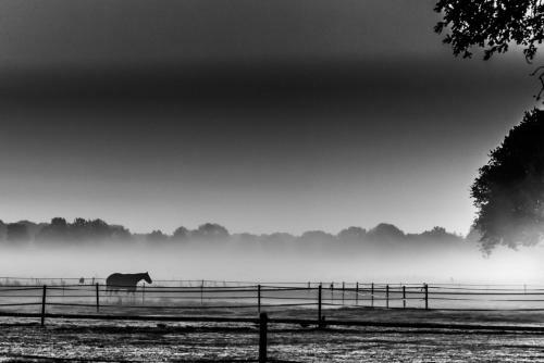 Bed & Breakfast Hof Van Eersel