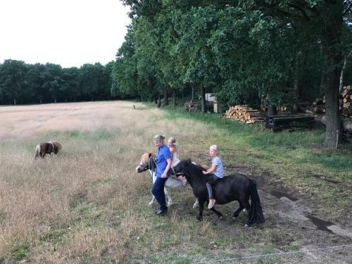 Lodge Bed & Breakfast De Zandhoef