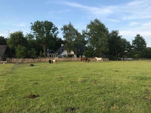 Lodge Bed & Breakfast De Zandhoef