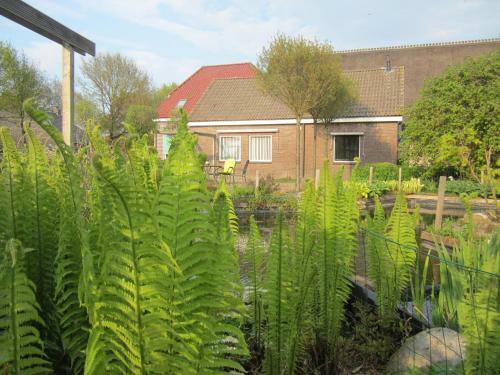 B&B Kleintje Eleveld