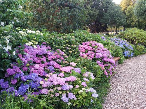 B&B Kleintje Eleveld
