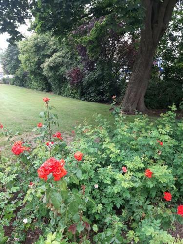 Bed & Breakfast De Herberg