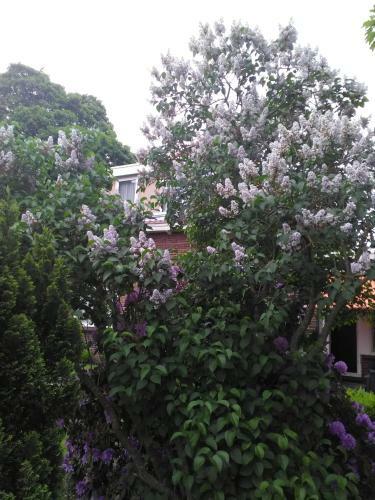 Bed & Breakfast De Herberg