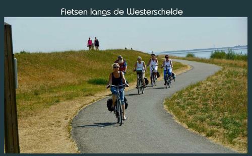 Vakantiewoning Deltahof