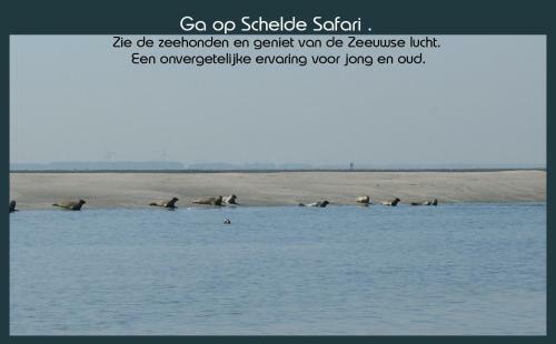 Vakantiewoning Deltahof
