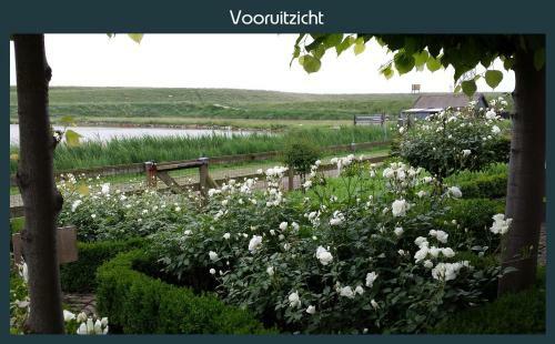 Vakantiewoning Deltahof