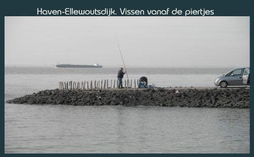 Vakantiewoning Deltahof