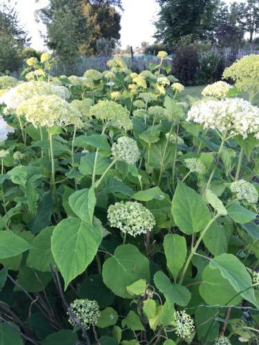 Bed & Breakfast De Tuinschuur