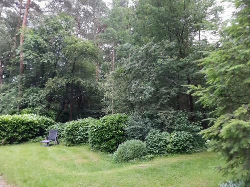 De Hooge Woeste
