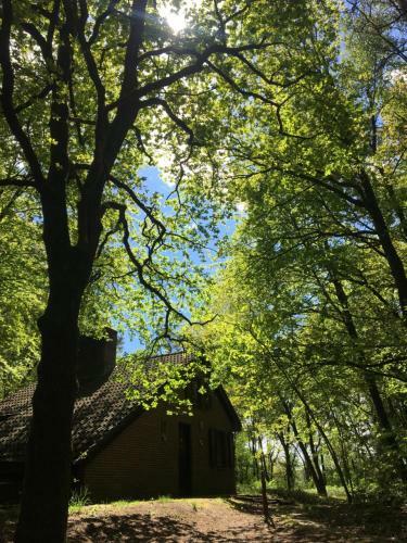 't Aarthuis