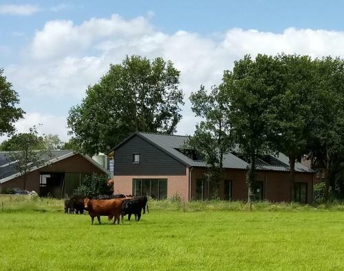 B&B In De Wei