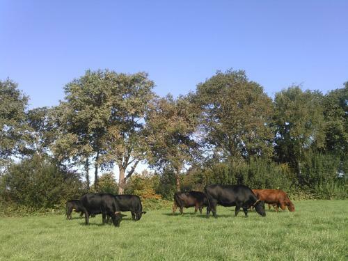 B&B In De Wei