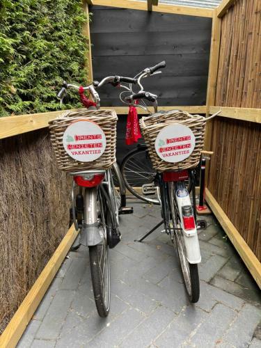 Drents Genieten - Struikheide