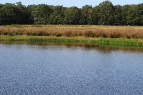 Drents Genieten - Riegheide