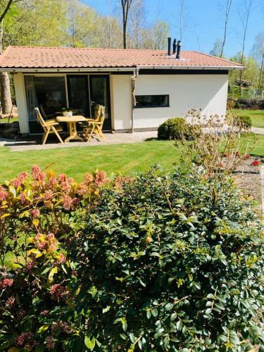 Apartamento Bungalow 72