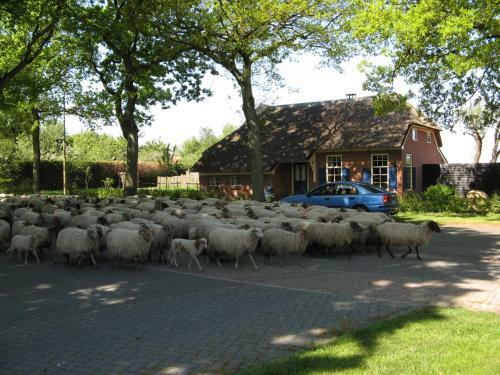't Zwaluwennest