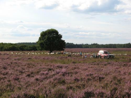 't Zwaluwennest