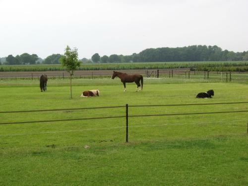 't Zwaluwennest