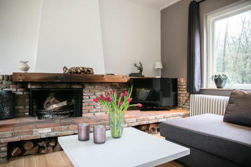 Vakantiehuis De Weeser Enk