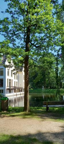 't Uiltje