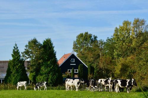 Vakantiehuis Op Landgoed Koepeltjesplaats