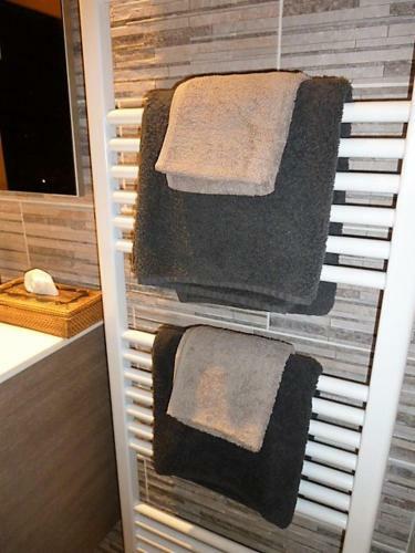 B&B Hertenhoef, Fluitenberg (hoogeveen)