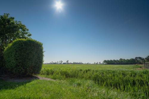 Chalets Op Minicamping Dorpszicht