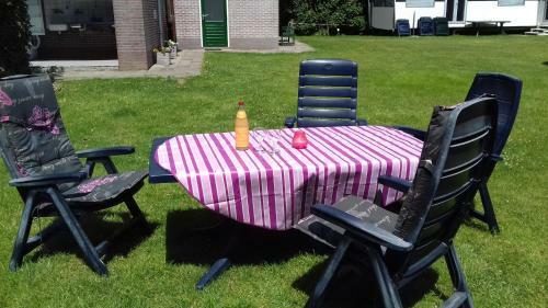 Chalets Op Minicamping Dorpszicht