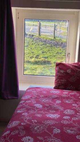 Bed & Breakfast The Horse Farm
