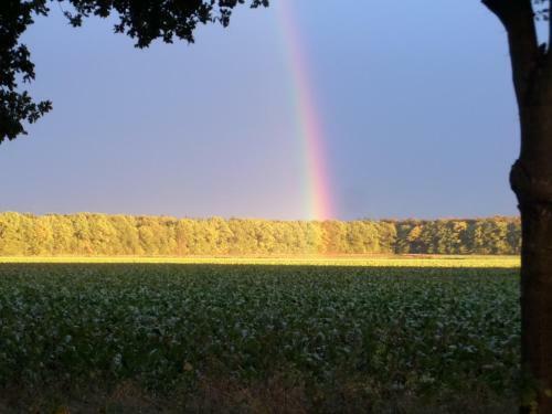 Bed & Breakfast Mekelermeer