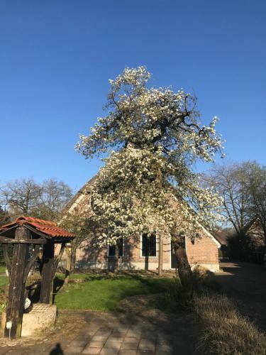 Apartamento Appartement "in de Wolken" In Gees