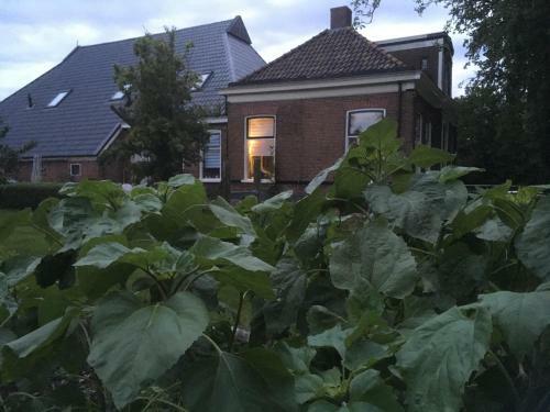 Bed & Breakfast Onder De Boom