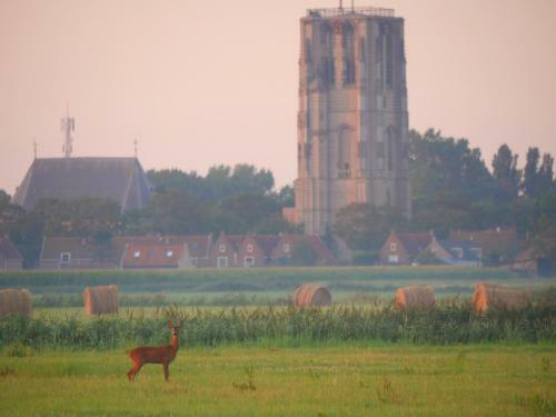 Apartamento De Dierenweiden
